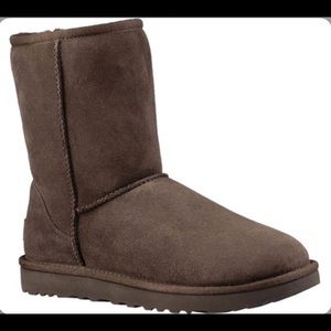 UGG chocolate Classic Short II Boot